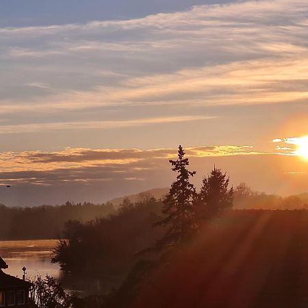 Ferienwohnung Rheinblick In Buesingen -Keine Monteure- Busingen Exteriör bild