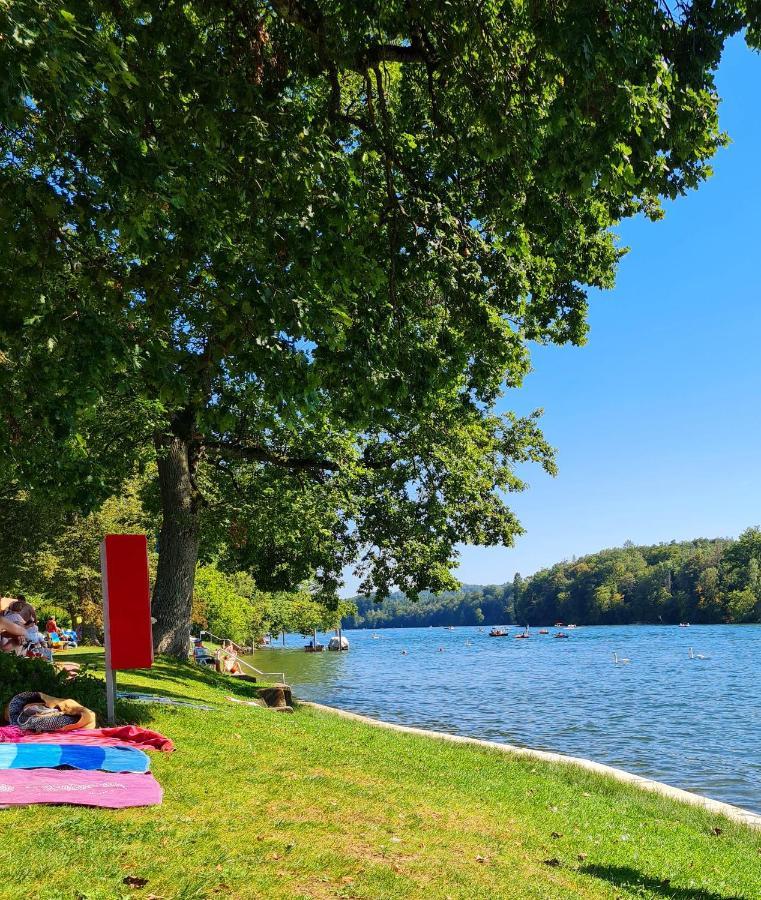 Ferienwohnung Rheinblick In Buesingen -Keine Monteure- Busingen Exteriör bild
