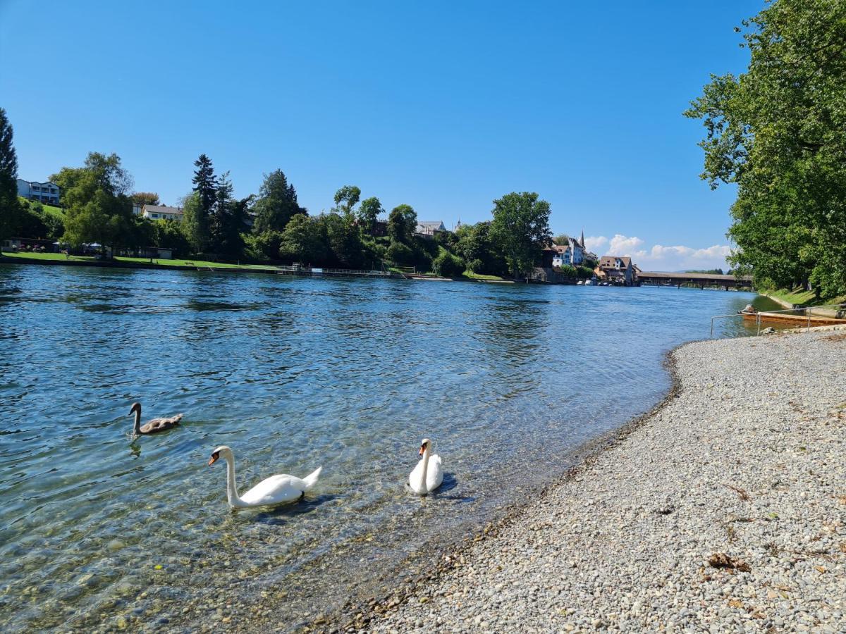 Ferienwohnung Rheinblick In Buesingen -Keine Monteure- Busingen Exteriör bild