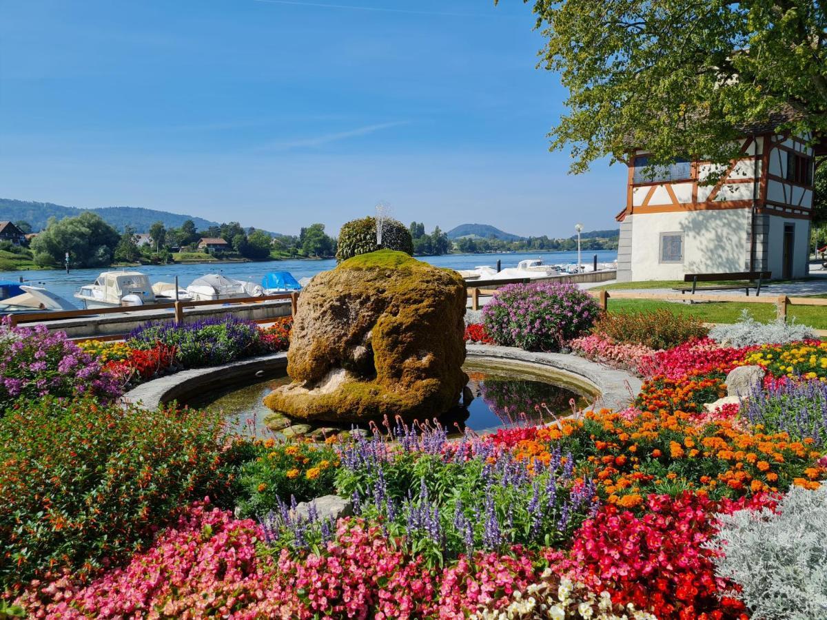 Ferienwohnung Rheinblick In Buesingen -Keine Monteure- Busingen Exteriör bild