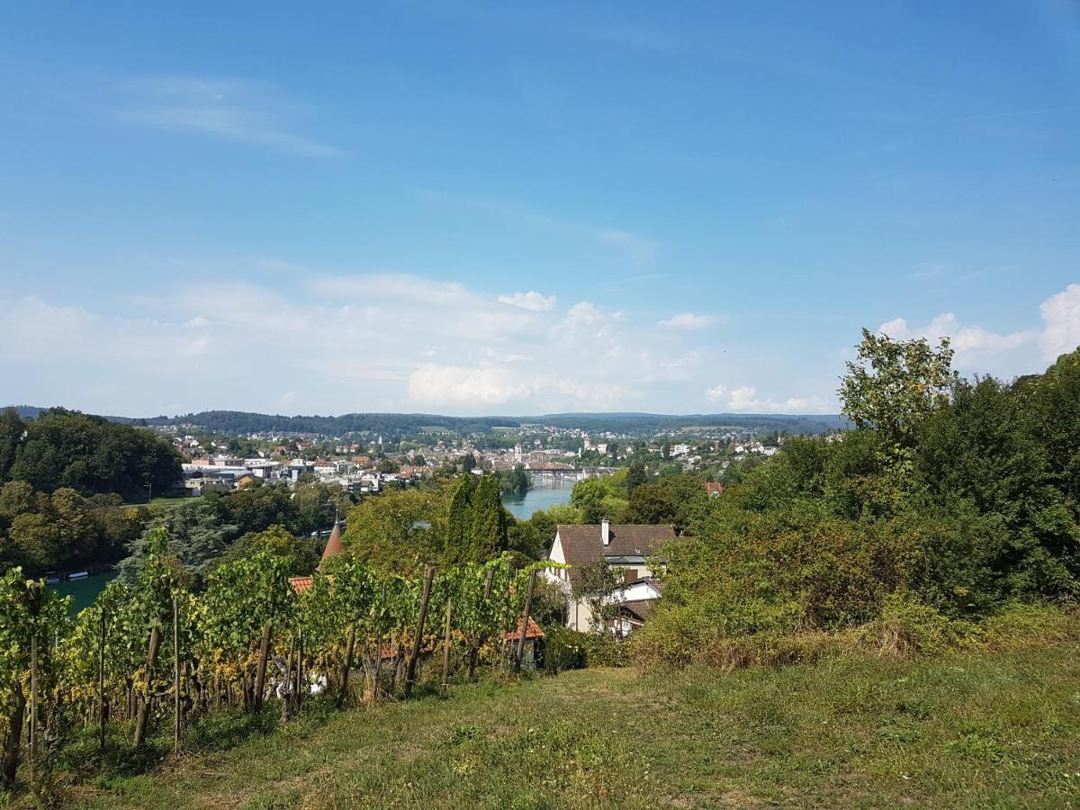 Ferienwohnung Rheinblick In Buesingen -Keine Monteure- Busingen Exteriör bild