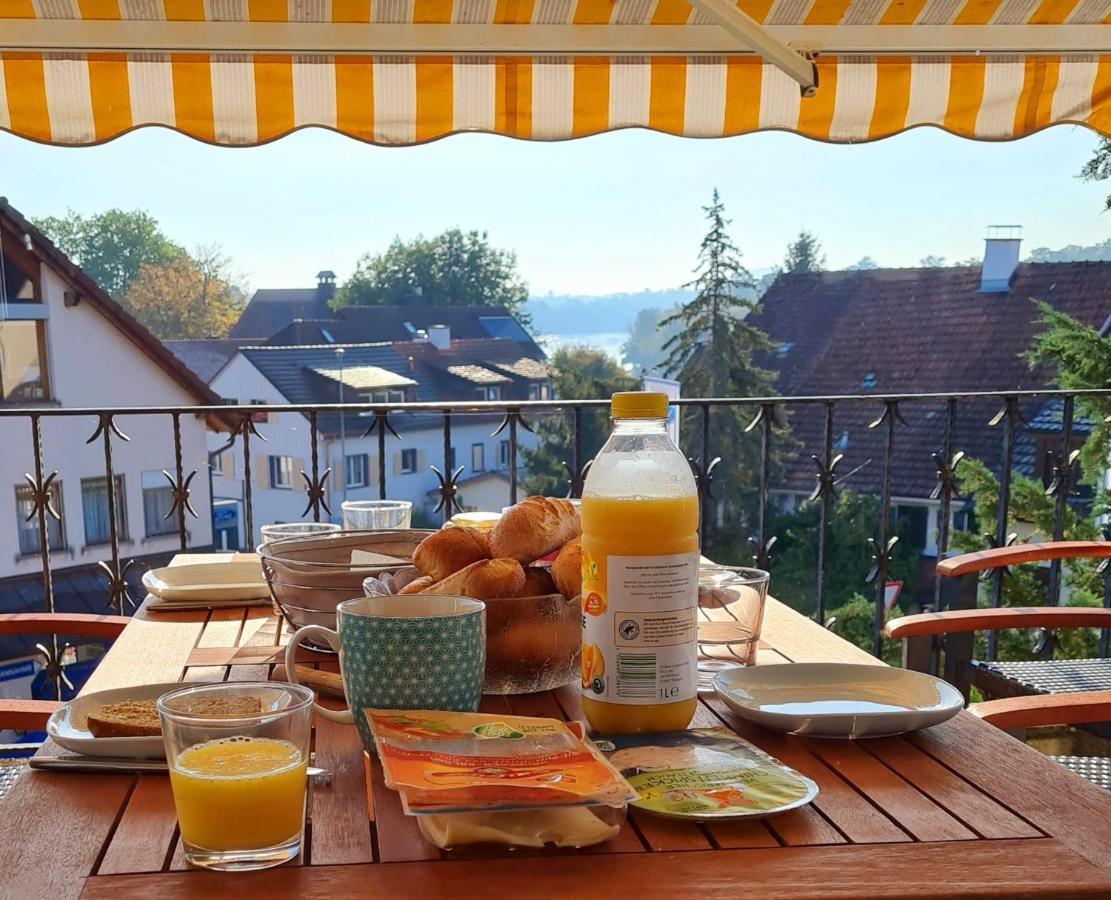 Ferienwohnung Rheinblick In Buesingen -Keine Monteure- Busingen Exteriör bild