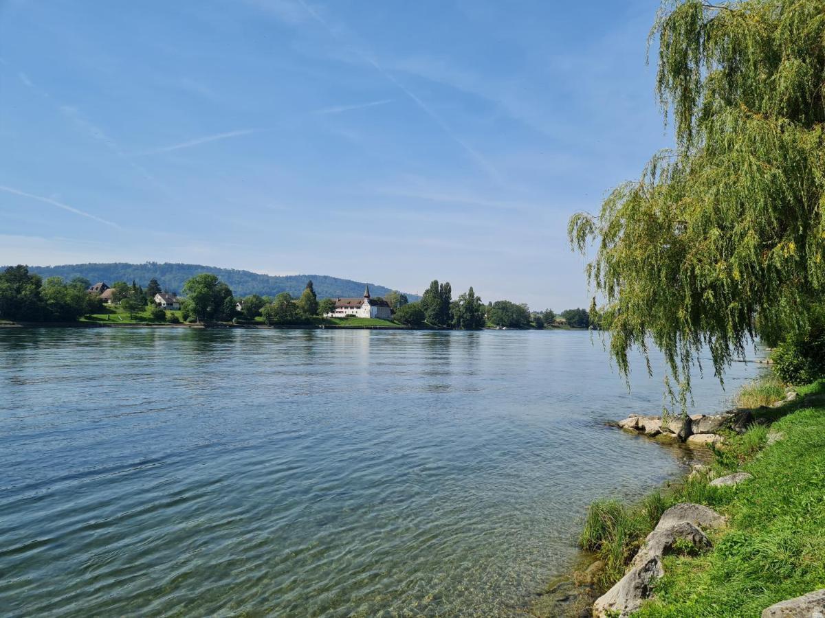 Ferienwohnung Rheinblick In Buesingen -Keine Monteure- Busingen Exteriör bild