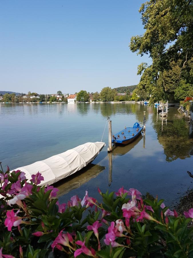 Ferienwohnung Rheinblick In Buesingen -Keine Monteure- Busingen Exteriör bild