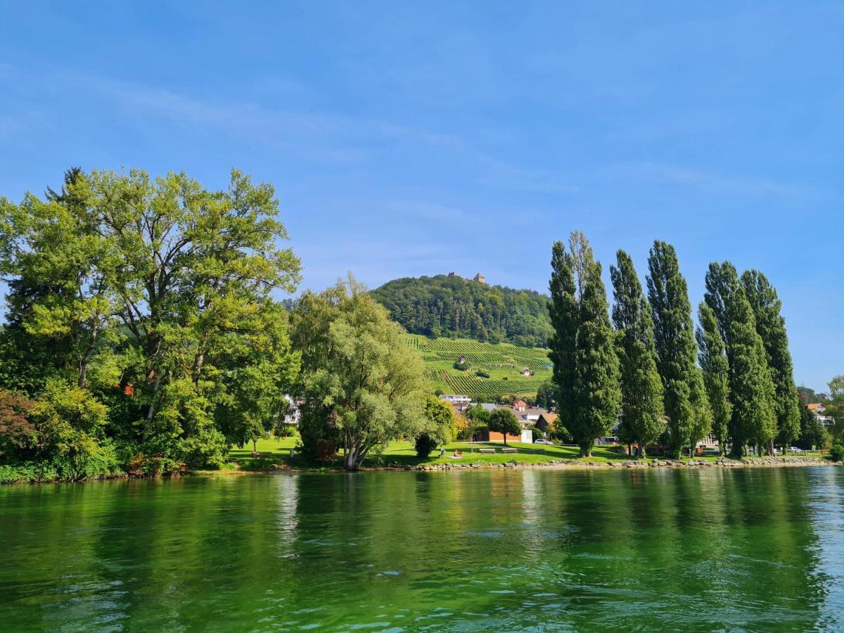 Ferienwohnung Rheinblick In Buesingen -Keine Monteure- Busingen Exteriör bild