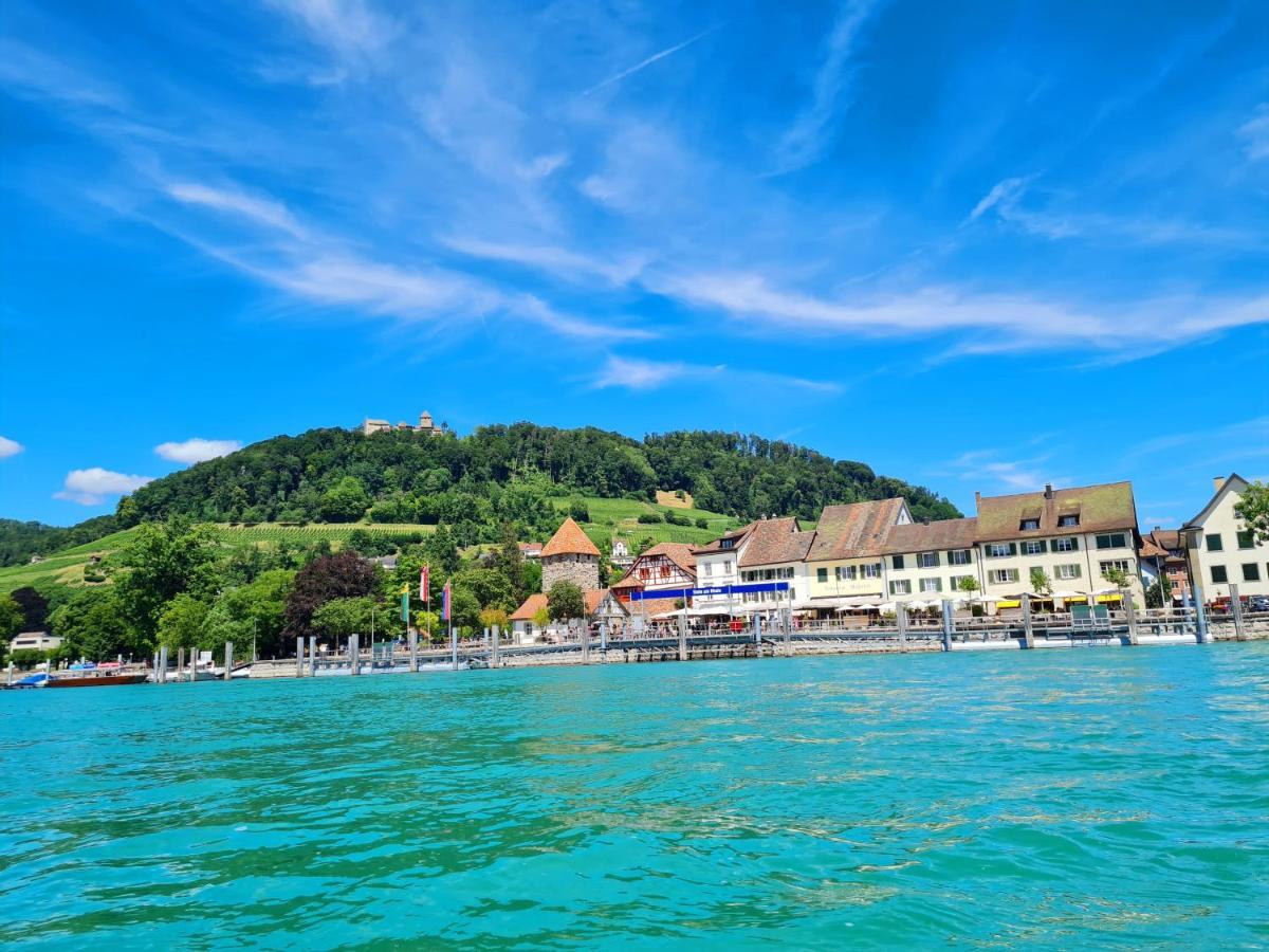 Ferienwohnung Rheinblick In Buesingen -Keine Monteure- Busingen Exteriör bild