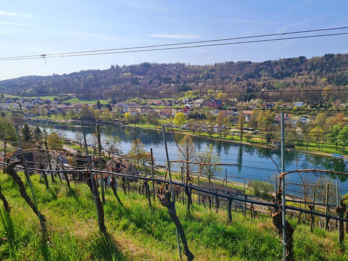 Ferienwohnung Rheinblick In Buesingen -Keine Monteure- Busingen Exteriör bild