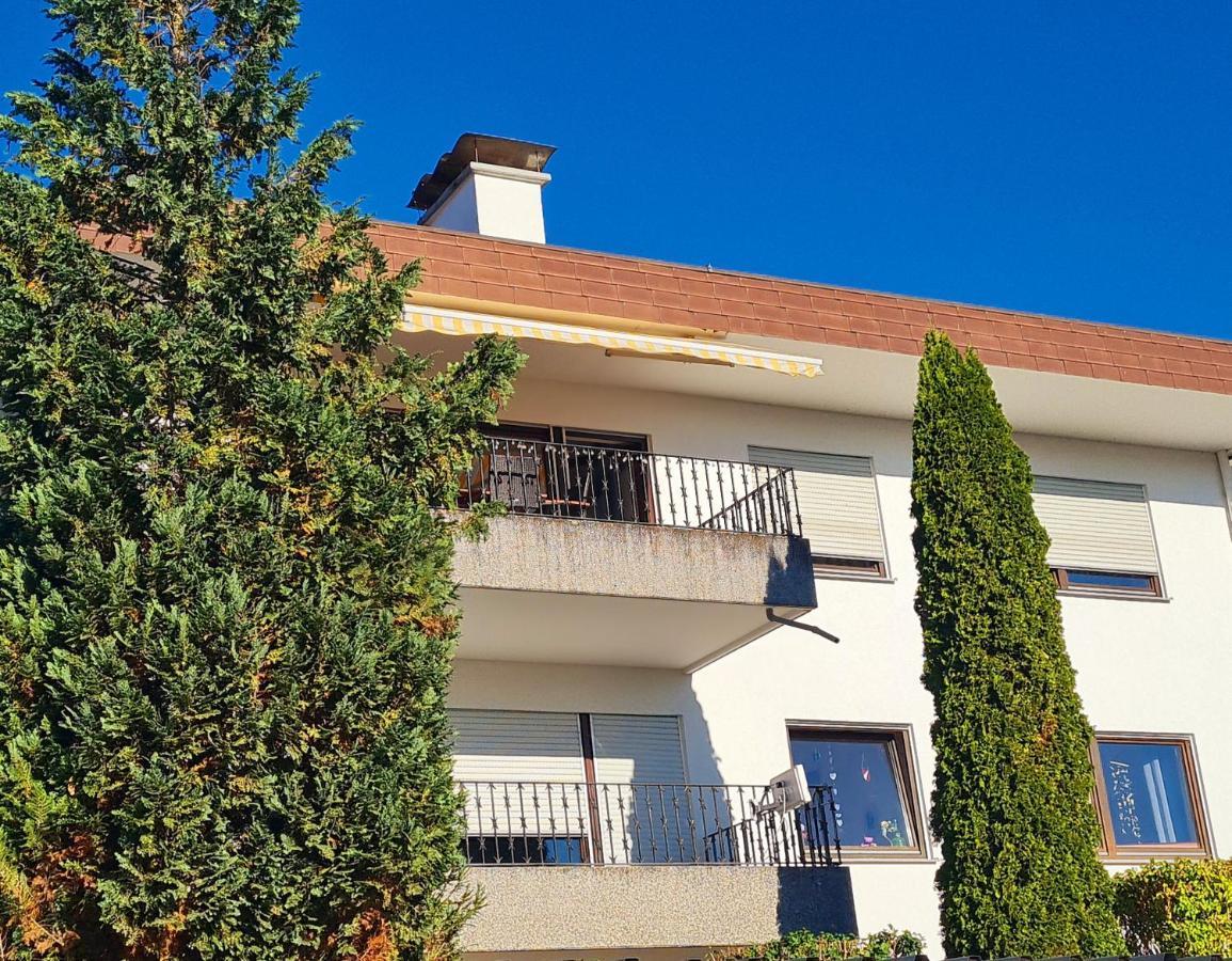 Ferienwohnung Rheinblick In Buesingen -Keine Monteure- Busingen Exteriör bild