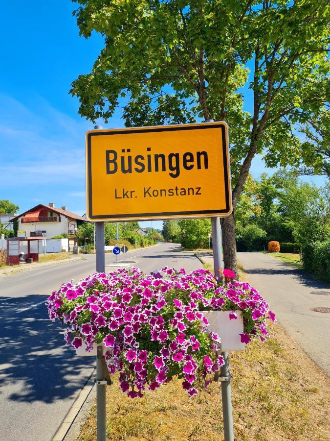 Ferienwohnung Rheinblick In Buesingen -Keine Monteure- Busingen Exteriör bild